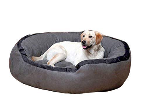 Medium Dog Bed-for Small & Medium Dogs Washable-Pet Bed for Small & Medium Dog/Cat with Slip-Resistant Bottom- GREY-55 x 46 x 22 Centimeters