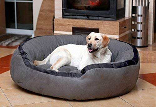 Medium Dog Bed-for Small & Medium Dogs Washable-Pet Bed for Small & Medium Dog/Cat with Slip-Resistant Bottom- GREY-55 x 46 x 22 Centimeters