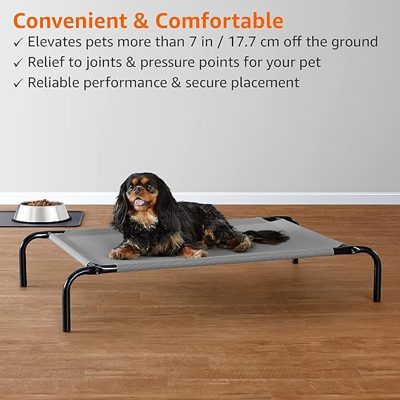 Comfortable Elevated Waterproof Cooling Pet Indoor and Outdoor Bed with Mesh