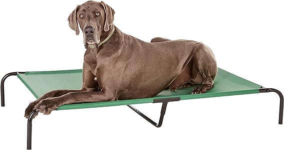 Comfortable Elevated Waterproof Cooling Pet Indoor and Outdoor Bed with Mesh