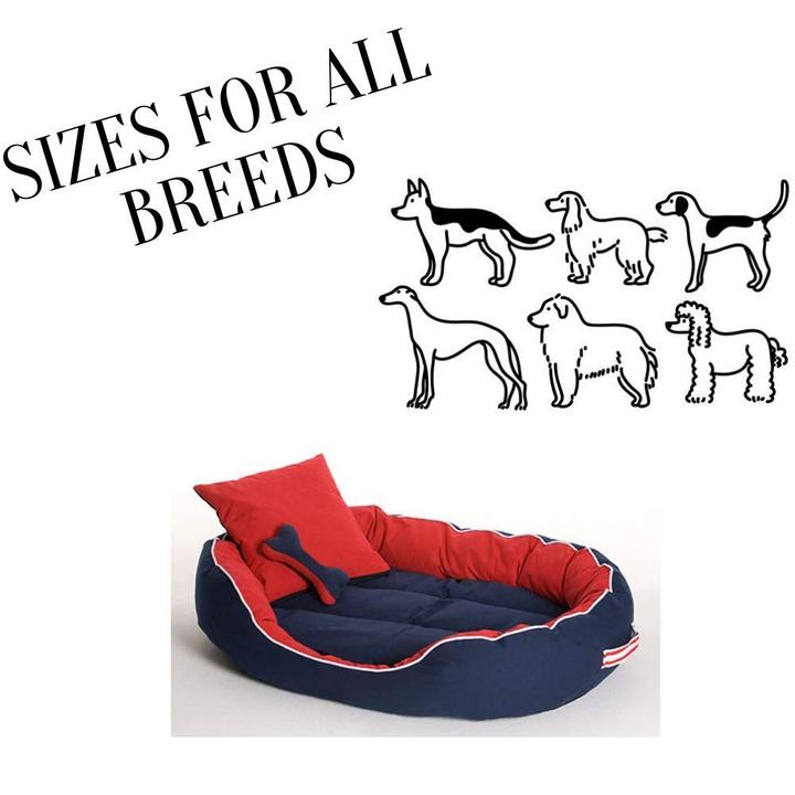 Elite Bolster Dog & Cat Bed with Two Cushions